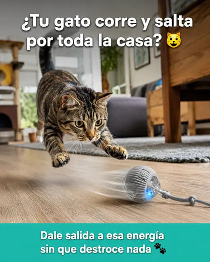 Pelota Interactiva para Mascota
