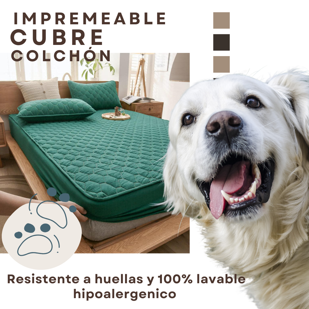 Protecplus® Cubre Colchón Impermeable💧 Anti ácaros🔥