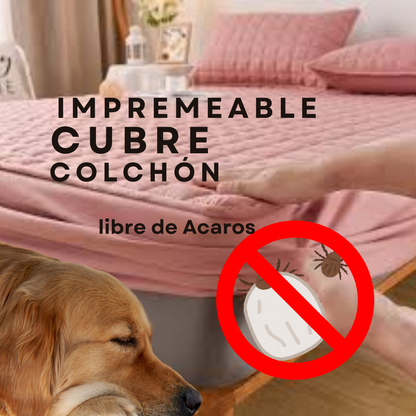 Protecplus® Cubre Colchón Impermeable💧 Anti ácaros🔥