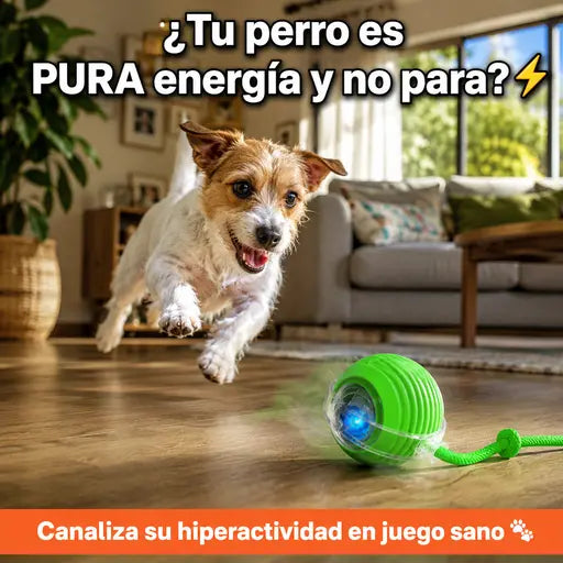 Pelota Interactiva para Mascota