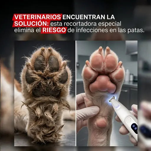 Kit Completo Cortapelos Afeitar Mascotas🦮🐈