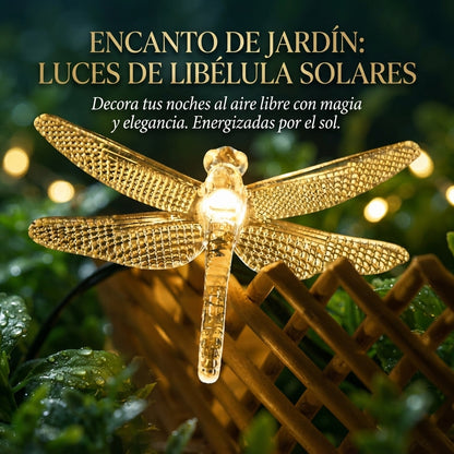 💫Guirnalda De Libelulas 👉🏻🏵️De Luces Led🌟