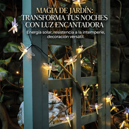 💫Guirnalda De Libelulas 👉🏻🏵️De Luces Led🌟