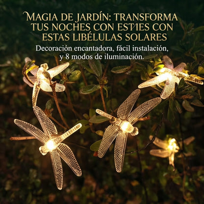 💫Guirnalda De Libelulas 👉🏻🏵️De Luces Led🌟