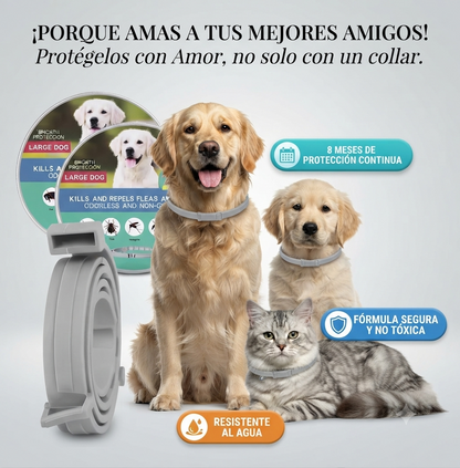 Collares Antipulgas De Perros Y Gatos