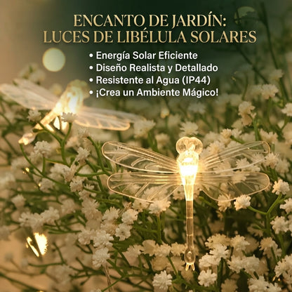 💫Guirnalda De Libelulas 👉🏻🏵️De Luces Led🌟