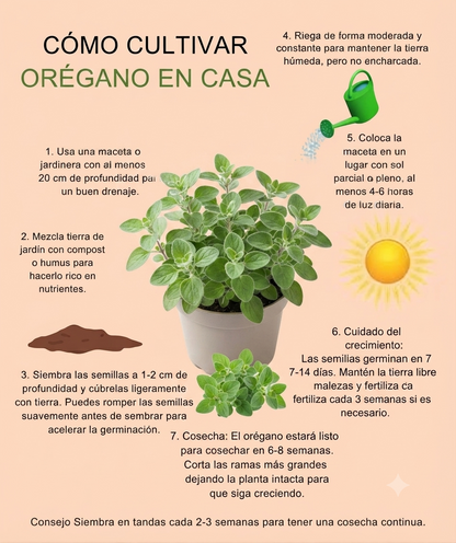 Kit de Huertoterapia: Cultiva bienestar y recuerdos en casa 🌿