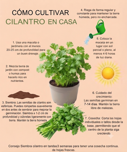 Kit de Huertoterapia: Cultiva bienestar y recuerdos en casa 🌿