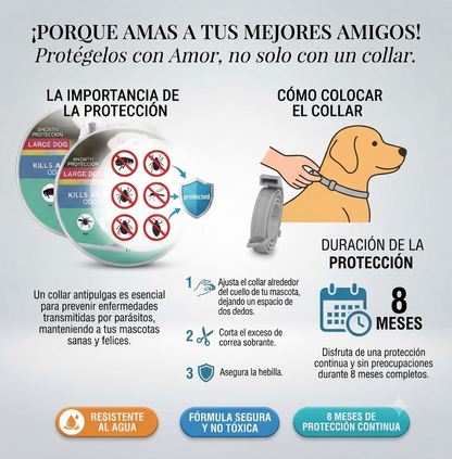 Collares Antipulgas De Perros Y Gatos