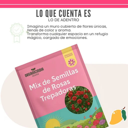 Semillas de Rosas Trepadoras🌹 Un  Oasis de la Naturaleza 🏠✨